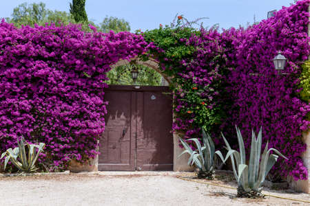 Entrance door of a rural house on Puglia, Italyの写真素材