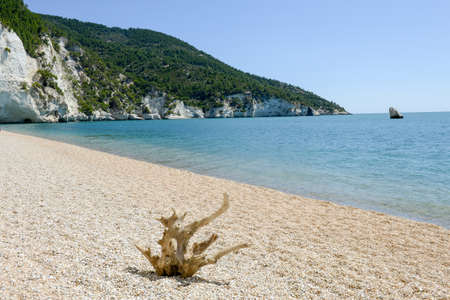 The beach of Vignanotica on the coast of Gargano National park on Puglia, Italyの写真素材