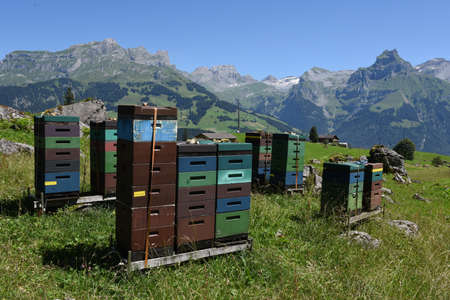 Houses for beekeeping and production of honey over Engelberg on the Swiss alps