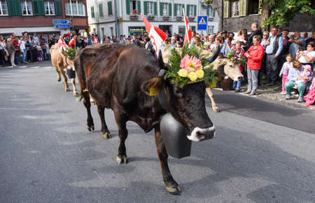 Kerns, Switzerland - 1 Oktober 2016: Farmers with a herd of cows on the annual transhumance at Kerns on the Swiss alpsのeditorial素材