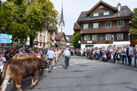 Kerns, Switzerland - 1 Oktober 2016: Farmers with a herd of cows on the annual transhumance at Kerns on the Swiss alpsのeditorial素材