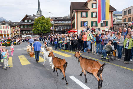 Kerns, Switzerland - 1 Oktober 2016: Farmers with a herd of goats on the annual transhumance at Kerns on the Swiss alpsのeditorial素材
