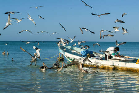 Holbox, Mexico - 28 January 2009: Fisherman on his boat at the beach of Holbox island, Mexicoの写真素材