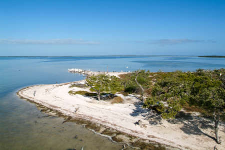 Birds on the island de los Pajaros in Holbox, Mexicoの写真素材