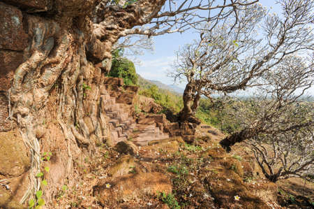 The steps to the temple of Wat Phu at Champasak on Laosの写真素材