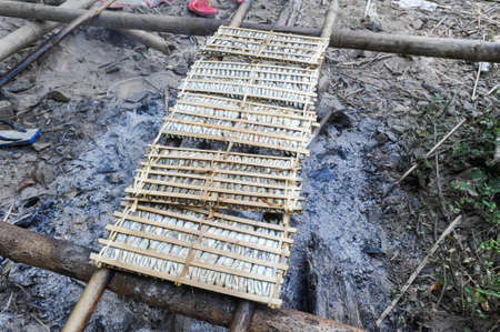 Small fishs smoked on fire at Don Khon island on Laosの写真素材