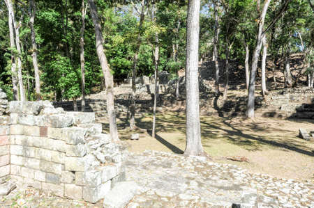 The Mayan ruins of Copan on Hondurasの写真素材