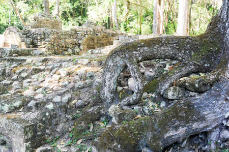 The Mayan ruins of Copan on Hondurasの写真素材