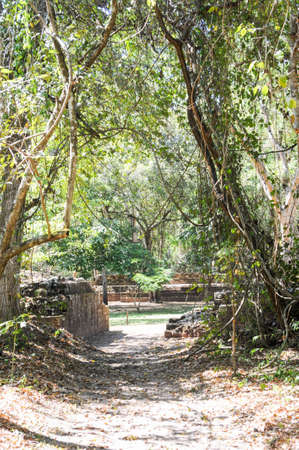 The Mayan ruins of Las Sepulturas near Copan on Houdurasの写真素材