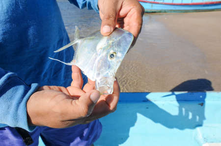 Fisherman on the beach of Los Cobanos on El Salvador