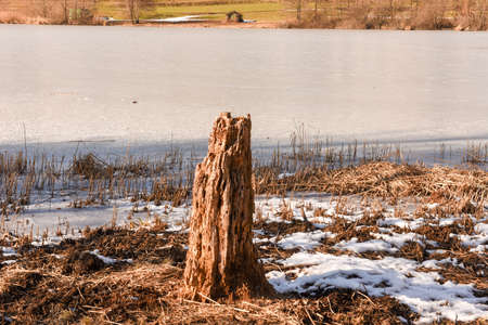 Frozen lake of Muzzano near Lugano on the italian part of Switzerlandの写真素材