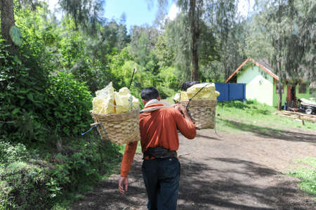 Vulcano Ijen, Indonesia - 5 February 2013: Miner with their sulfur crops from the ijen crater on the island of Java, Indonesiaのeditorial素材