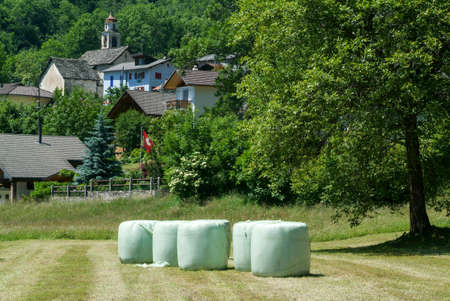 Olivone, Switzerland - 25 June 2010: the rural village of Olivone on the Swiss alpsのeditorial素材