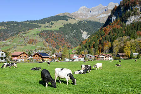Engelberg, Switzerland - 15 October 2017: rural landscape at the village of Engelberg on the Swiss alpsのeditorial素材