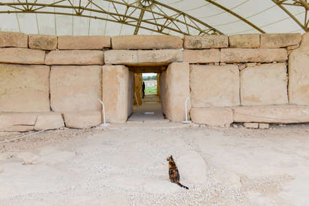 Hagar Qim - megalithic temple complex found on the island of Malta.の写真素材