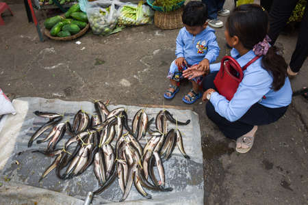 Battambang, Cambodia - 15 January 2018: lady selling fish at the market of Battambang on Cambodiaのeditorial素材