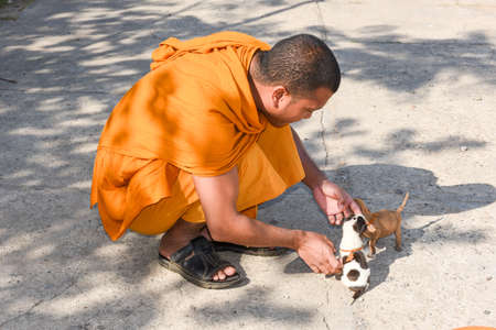Battambang, Cambodia - 14 January 2018: monk caressing young dogs at Battambang on Cambodiaのeditorial素材