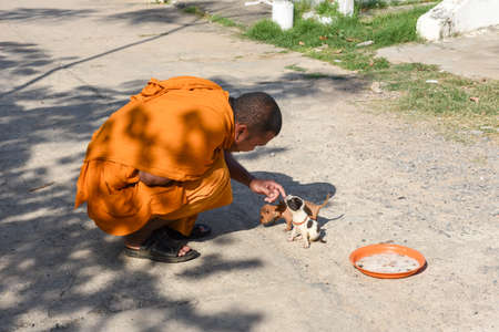 Battambang, Cambodia - 14 January 2018: monk caressing young dogs at Battambang on Cambodiaのeditorial素材