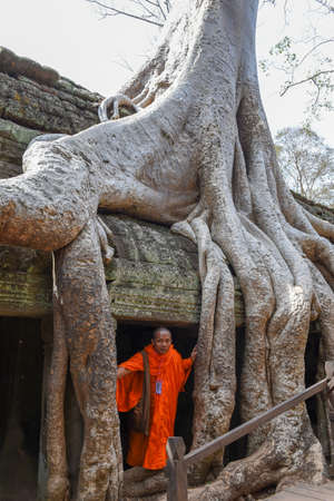 Siem Reap, Cambodia - 12 January 2018: monks visiting on walking Ta Prohm temple at Angkor Wat...