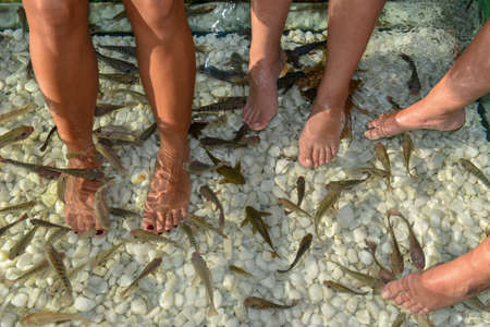 Fish spa feet pedicure skin care treatment at Bangkok on Thailandの写真素材