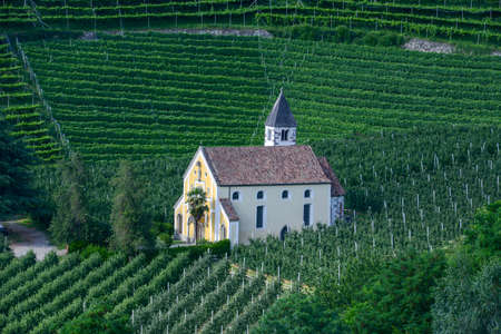 St. Valentin church in vineyard at Merano on South Tyrol, Italyの写真素材