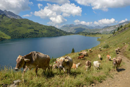 Lake Engstlensee over Engelberg on the Swiss alpsのeditorial素材