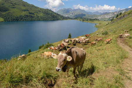 Lake Engstlensee over Engelberg on the Swiss alpsのeditorial素材