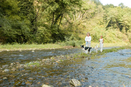 Lugano, Switzerland - 15 September 2002: woman with dogs at the animal shelter of Lugano on Switzerlandのeditorial素材