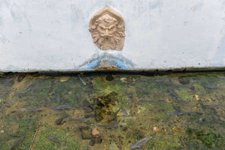 Historic fountain at sao luis of maranhao in brazil