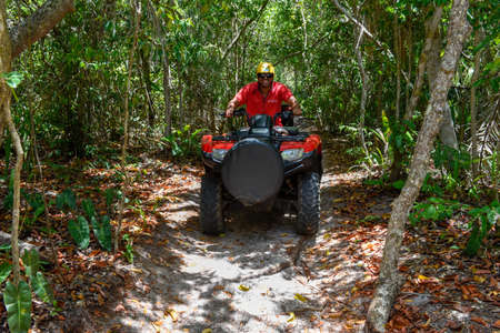 Praia do Forte, Brazil - 31 January 2019: people driving a quad on the forest near Praia do Forte in...