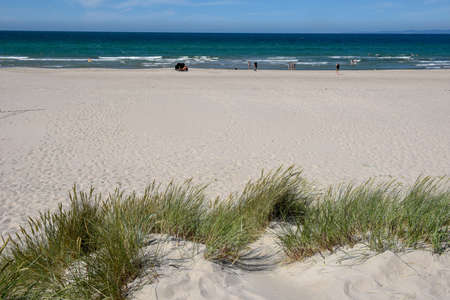 Hornbaek, Denmark - 28 June 2019: people sunbathing on the beach of Hornbaek in Denmarkのeditorial素材