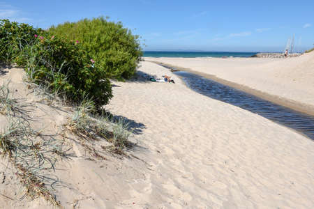 Hornbaek, Denmark - 28 June 2019: people sunbathing on the beach of Hornbaek in Denmarkのeditorial素材