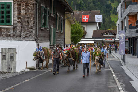 Engelberg, Switzerland - 28 September 2019: Farmers with a herd of cows on the annual transhumance at Engelberg on the Swiss alpsのeditorial素材