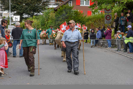 Engelberg, Switzerland - 28 September 2019: Farmers with a herd of cows on the annual transhumance at Engelberg on the Swiss alpsのeditorial素材