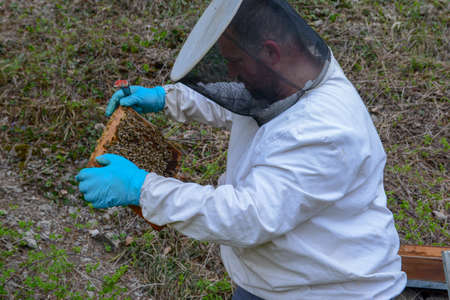Wolfenschiessen, Switzerland - 22 april 2019: beekeeper who is checking his honey production at Wolfenschiessen on the Swiss alpsのeditorial素材