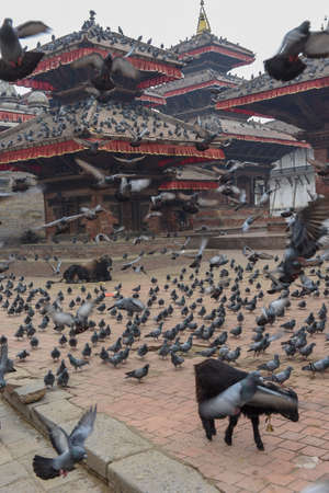 Temple of Durban square at Kathmandu in Nepalのeditorial素材