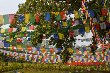 Prayer flags at Maya Devi temple birth place of Buddha in Lumbini on Nepalのeditorial素材