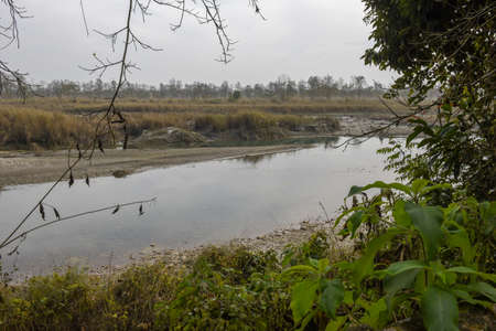 Rapti river of Chitwan national park on Nepal