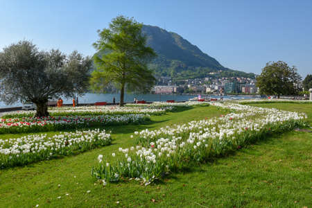 Lugano, Switzerland - 23 April 2020:  Public garden on the lakefront at Lugano on Switzerlandのeditorial素材