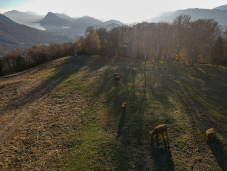 Landscape of Lugano from Colla valley on the italian part of Switzerlandの写真素材