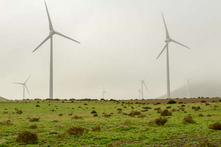 Wind farm at Canary island in Lanzarote on Spain