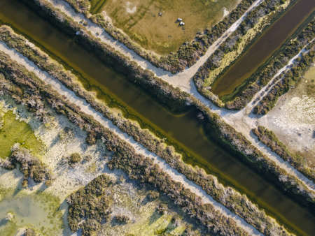 Natural formation on a salt lake at Larnaca on Cyprus