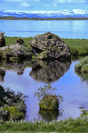 Rural landscape of lake Myvatn on Icelandの写真素材