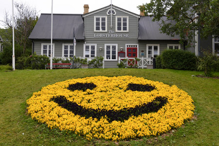 Reykjavik, Iceland - 10 July 2022: traditional house with garden at Reykjavik on Icelandのeditorial素材