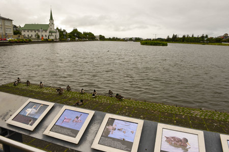 The pond in the center of Reykjavik on Icelandのeditorial素材