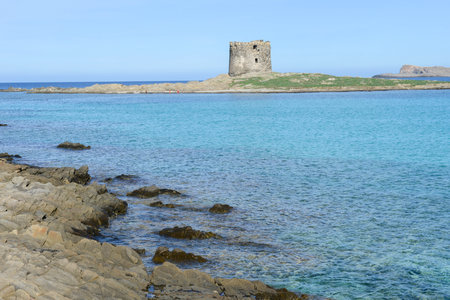 View at the beach of Pelosa at Stintino on Sardinia in Italyの写真素材