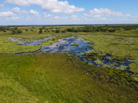 Landscape of Isimangaliso wetland park in South Africaの写真素材