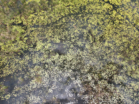 Landscape of Isimangaliso wetland park in South Africaの写真素材