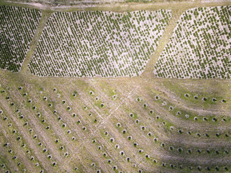 Drone view at a agricultural field on Oribi gorge near Port Shepstone in South Africa