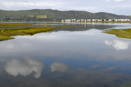 View at the lake in front of Knysna on South Africaの写真素材
